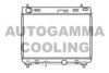 AUTOGAMMA 105061 Radiator, engine cooling